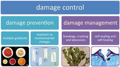 Editorial: Damage control of plants—from the molecule to the entire plant